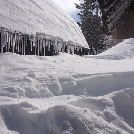 Chalet Tisa Velika Planina Stahovica Exterior photo