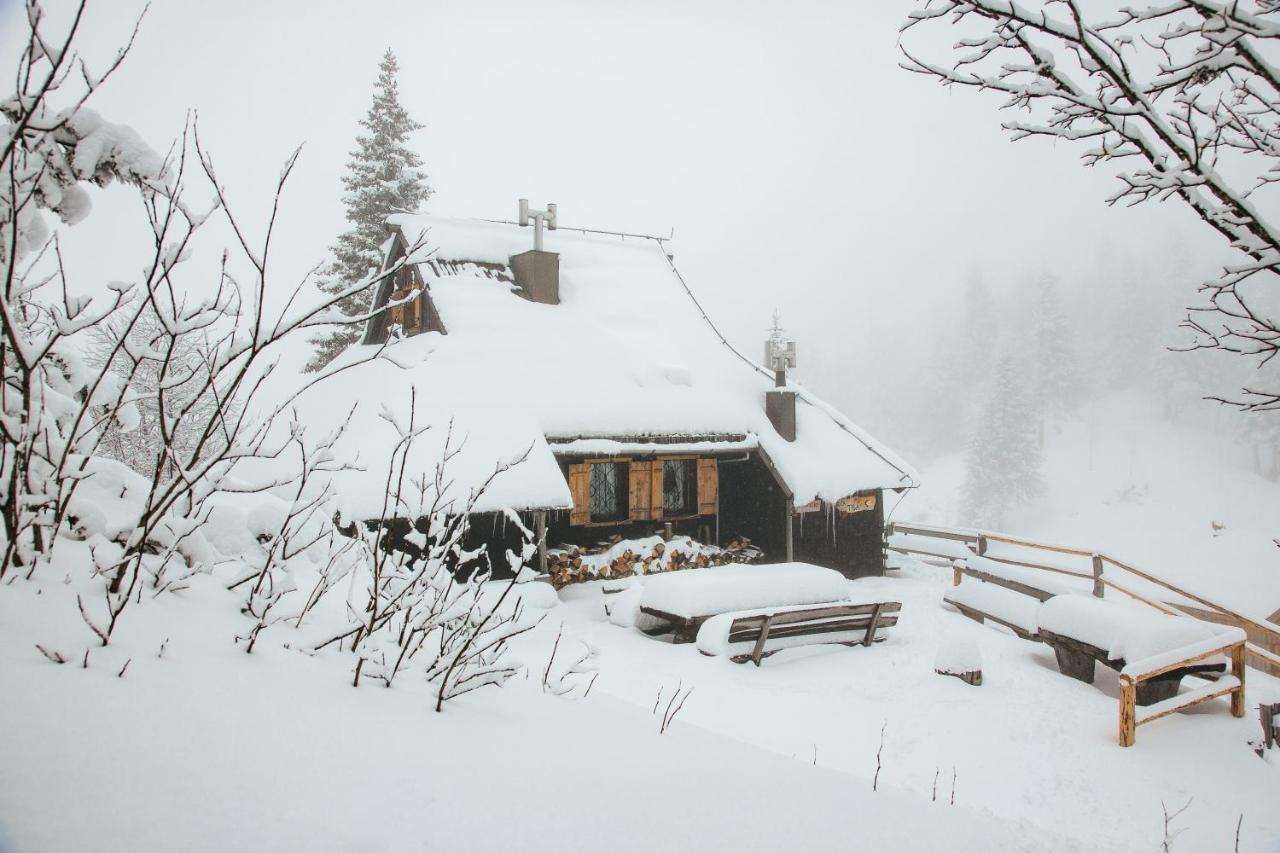 Chalet Tisa Velika Planina Stahovica Exterior photo