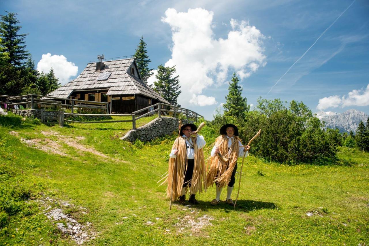 Chalet Tisa Velika Planina Stahovica Exterior photo