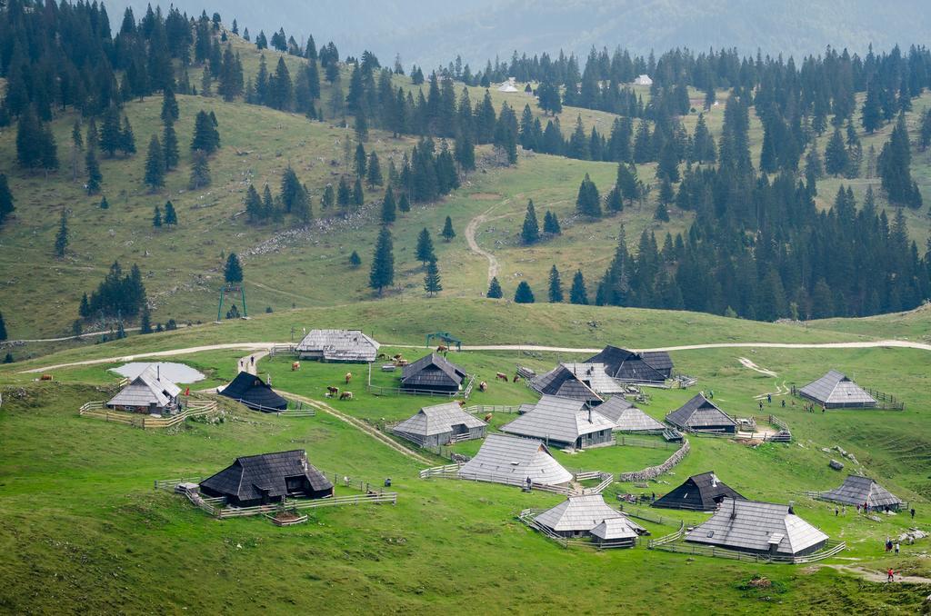 Chalet Tisa Velika Planina Stahovica Room photo