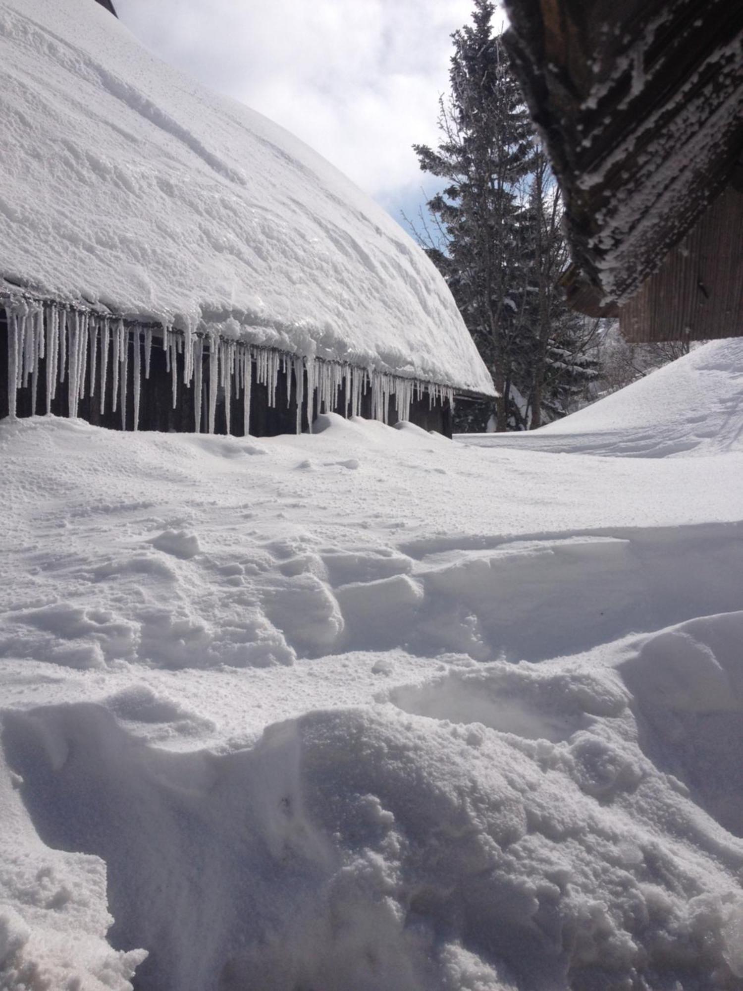 Chalet Tisa Velika Planina Stahovica Exterior photo